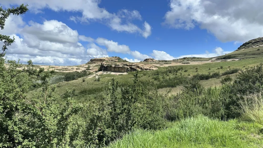 Vacant land sold in Clarens - 1CS1692966 Vacant land sold in Clarens - 1CS1692966