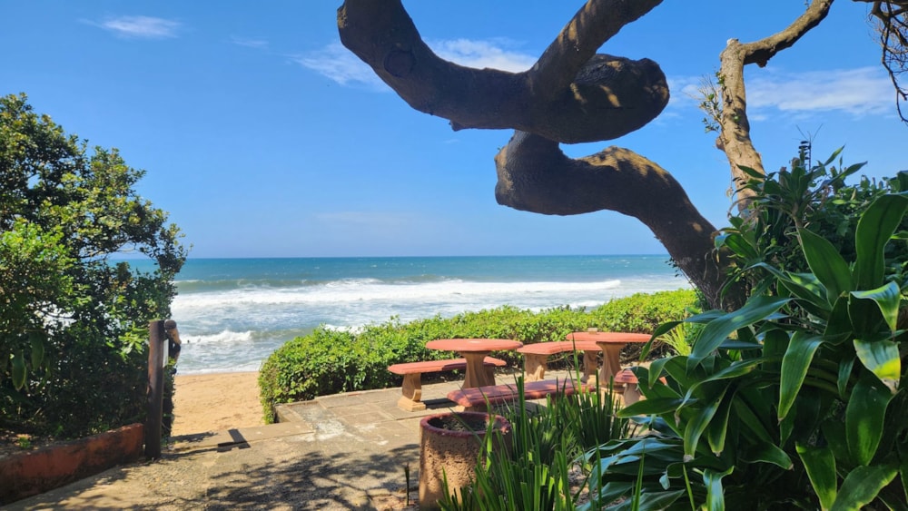 Townhouse for sale in Shelly Beach - 1PSH1693817 Townhouse for sale in Shelly Beach - 1PSH1693817