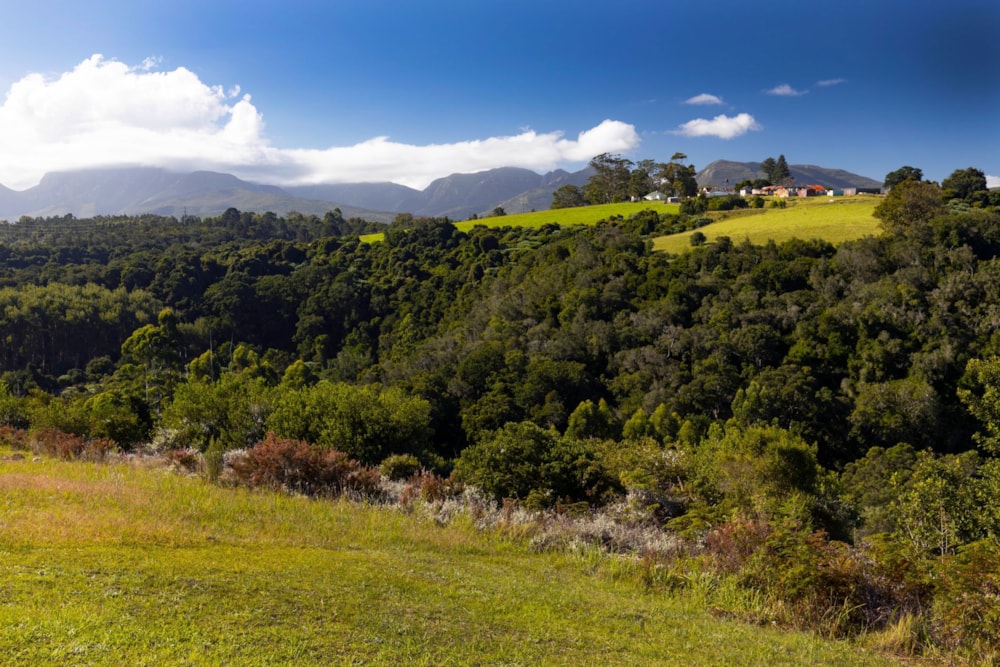 Residential vacant land for sale in Welgelegen Estate - GEO1697921