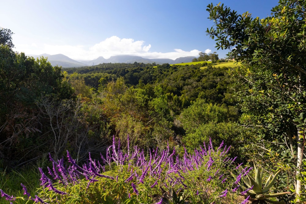 Residential vacant land for sale in Welgelegen Estate - GEO1697921