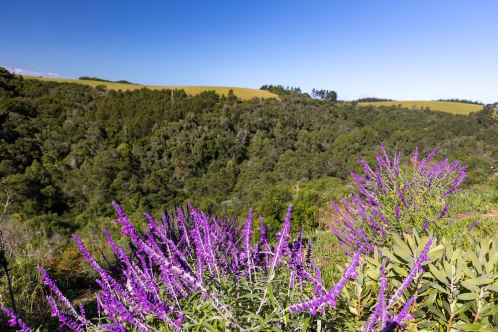 Residential vacant land for sale in Welgelegen Estate - GEO1697921