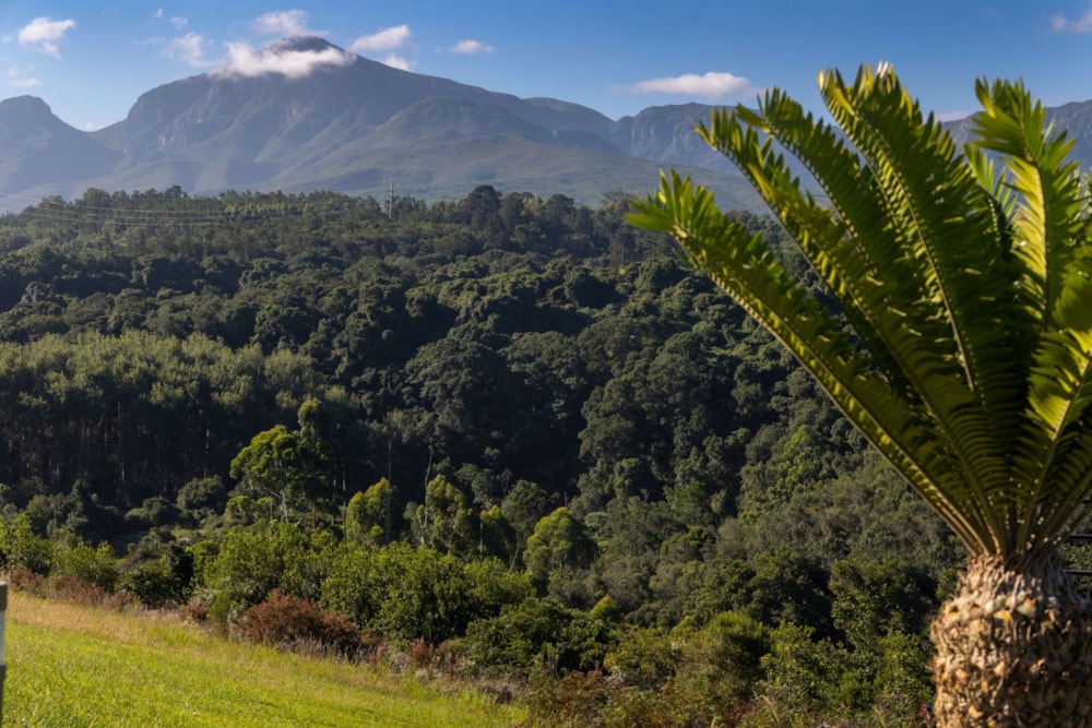 Residential vacant land for sale in Welgelegen Estate - GEO1697921