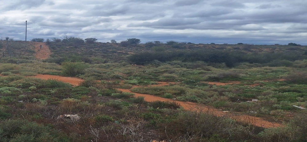 Vacant land for sale in Armoed - 1OU1697638 Vacant land for sale in Armoed - 1OU1697638