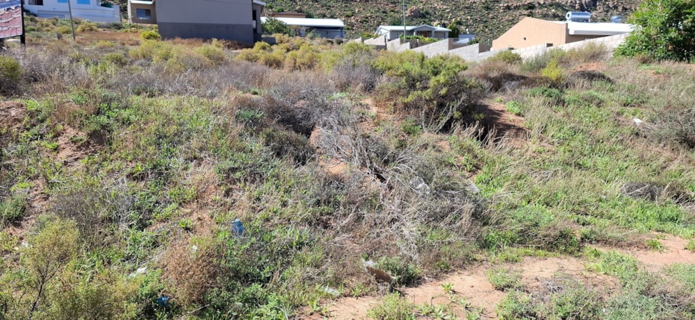 Residential vacant land for sale in Doornpoort, Springbok - 1NA1697673