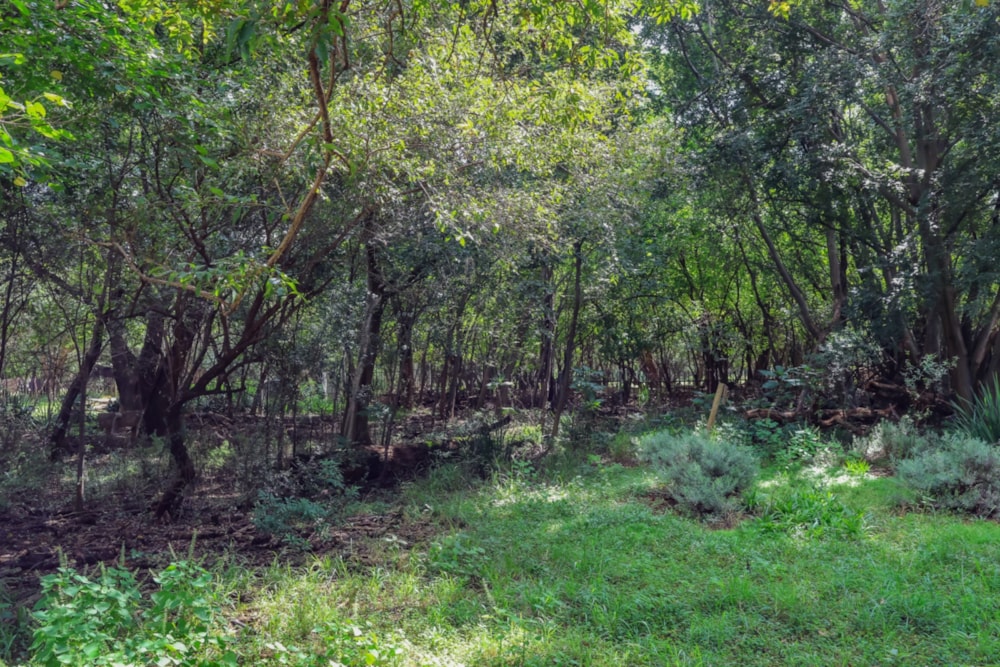 Residential vacant land for sale in Westlake, Hartbeespoort - 1HR1697599