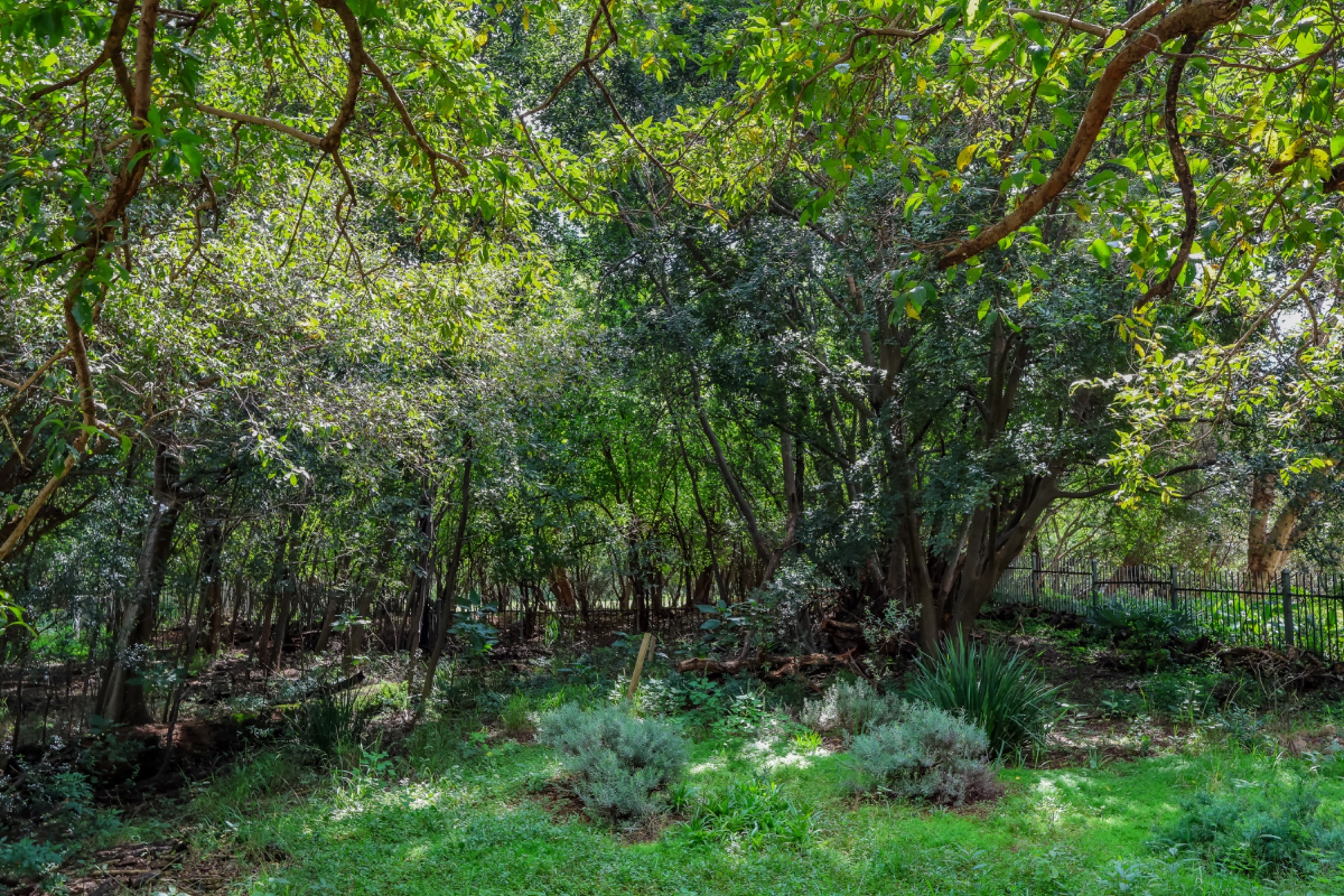 Residential vacant land for sale in Westlake, Hartbeespoort - 1HR1697599