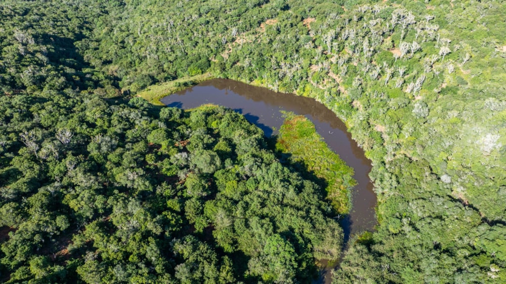 Mixed use farm for sale in Grahamstown (Makhanda) - 1GC1696632