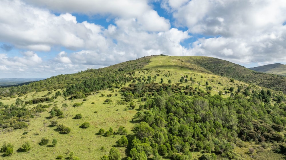 Mixed use farm for sale in Grahamstown (Makhanda) - 1GC1696632