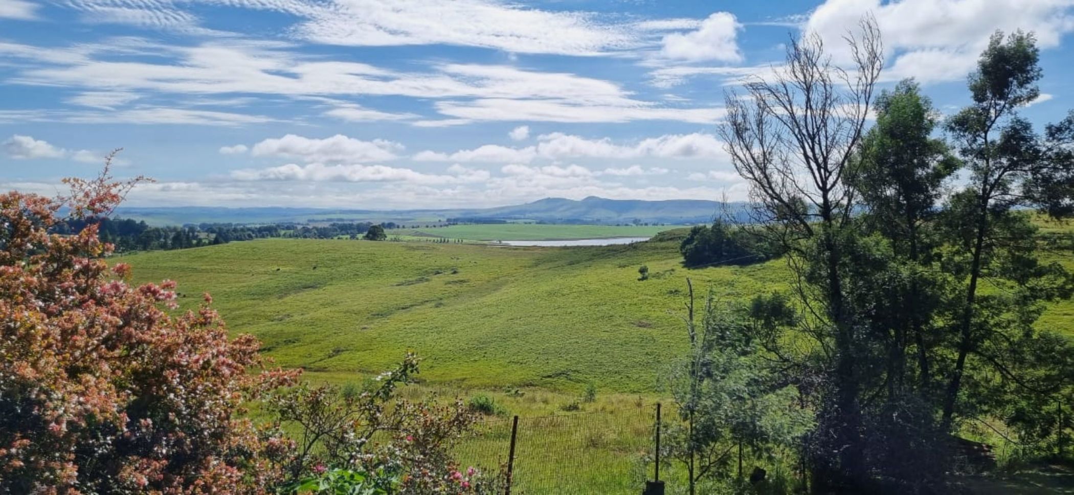 Semi-detached house for sale in Kamberg - 1PM1696857