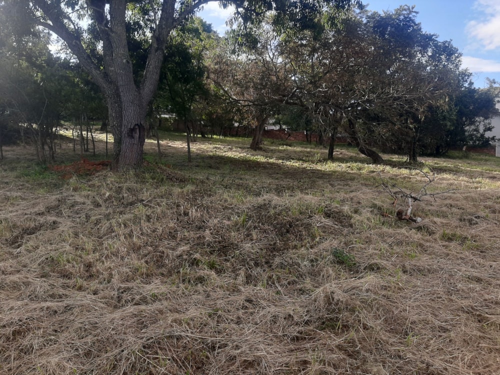 Residential vacant land for sale in Drum Rock - 1NS1699161 Residential vacant land for sale in Drum Rock - 1NS1699161