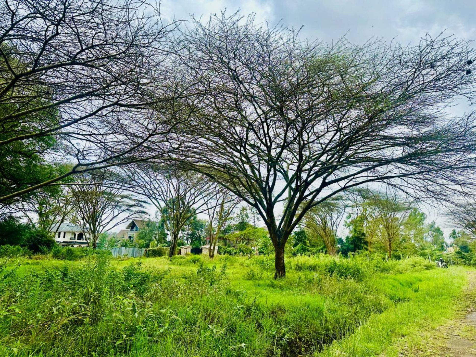 Vacant land for sale in Garden Estate, Kenya - 3KE1728105