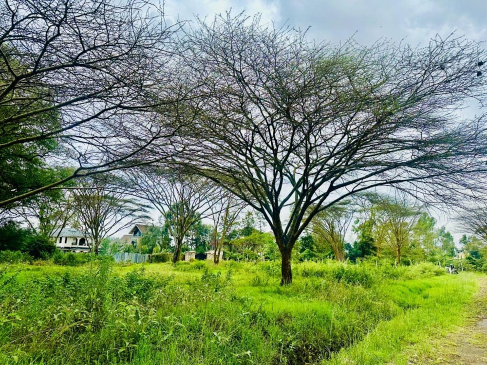 Vacant land for sale in Garden Estate, Kenya - 3KE1689921