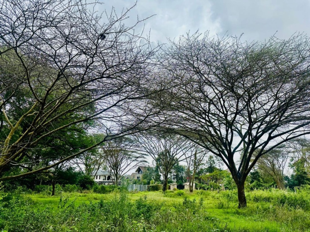 Vacant land for sale in Garden Estate, Kenya - 3KE1728105