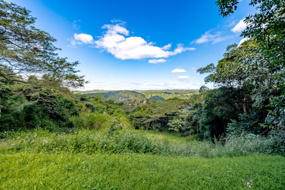 House sold in Forest Hills - 1KF1695856 House sold in Forest Hills - 1KF1695856