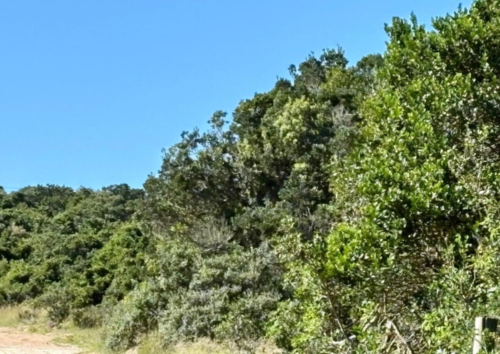 Farm vacant land for sale in Port Elizabeth Farms (Gqeberha Farms) - 1PLZ1696795