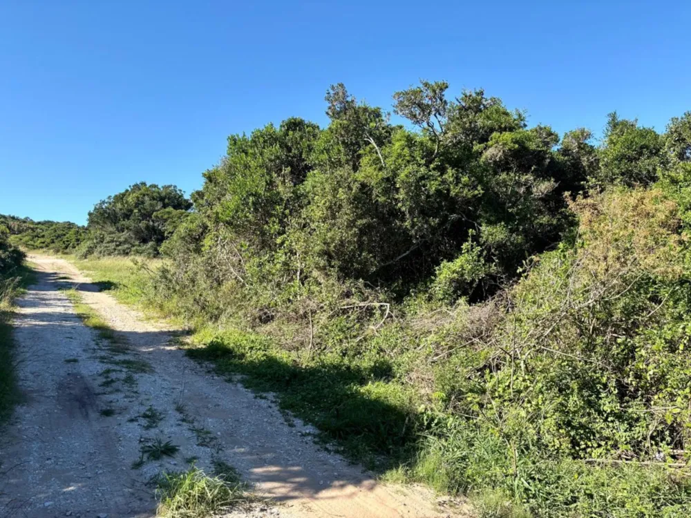 Farm vacant land for sale in Port Elizabeth Farms (Gqeberha Farms) - 1PLZ1696795 Farm vacant land for sale in Port Elizabeth Farms (Gqeberha Farms) - 1PLZ1696795