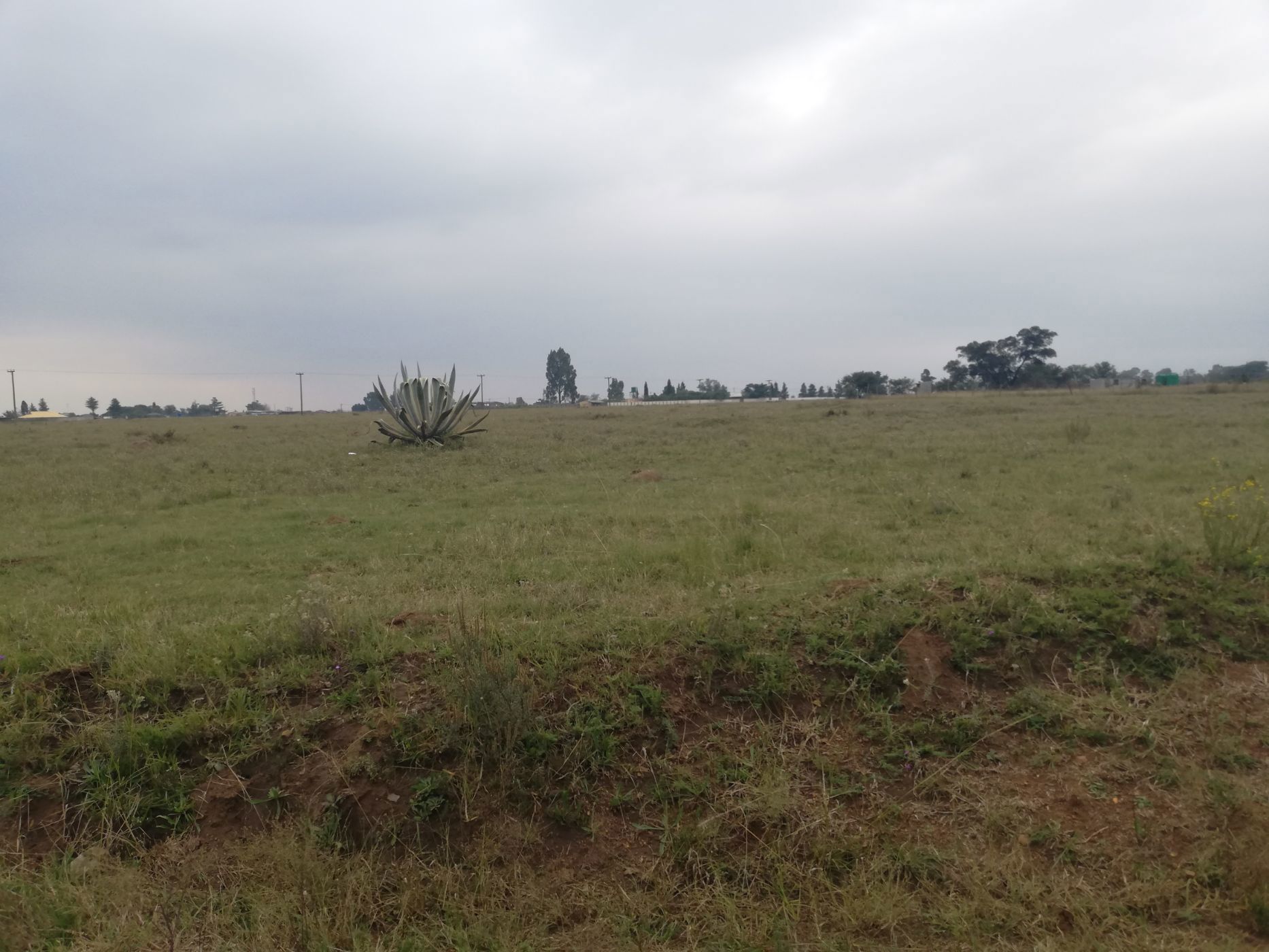 Farm vacant land for sale in Nelsonia - 1VT1695145