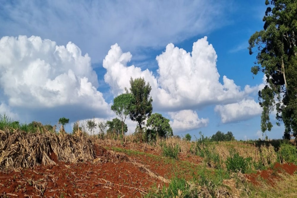 Vacant land sold in New Kitisuru, Kenya - 3KE1708694 Vacant land sold in New Kitisuru, Kenya - 3KE1708694