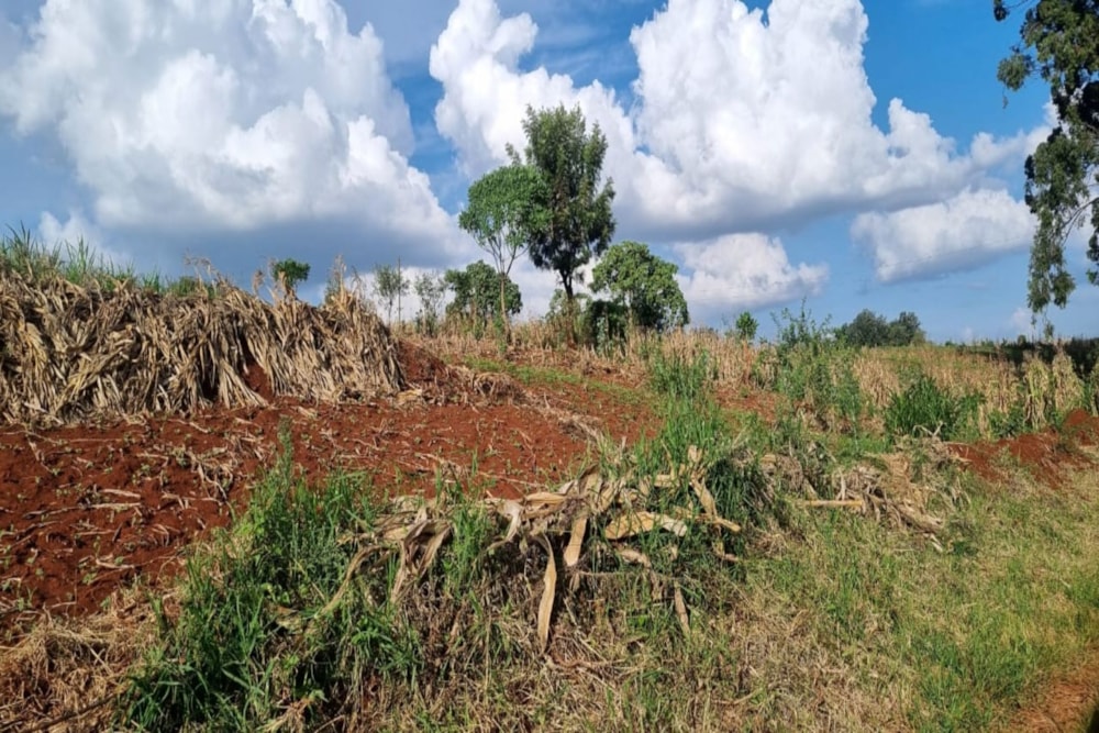 Vacant land sold in New Kitisuru, Kenya - 3KE1708694 Vacant land sold in New Kitisuru, Kenya - 3KE1708694
