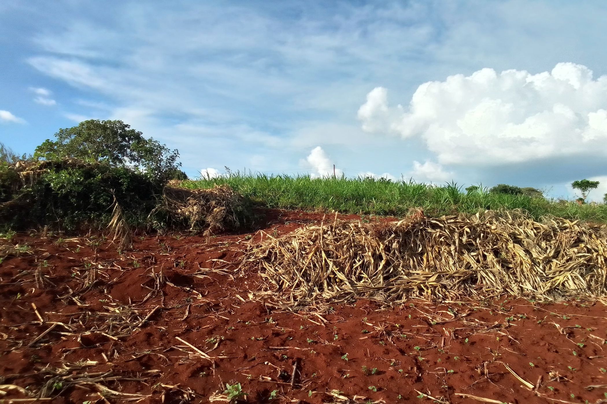 Vacant land sold in New Kitisuru, Kenya - 3KE1708694