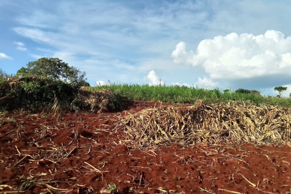 Vacant land sold in New Kitisuru, Kenya - 3KE1708694 Vacant land sold in New Kitisuru, Kenya - 3KE1708694