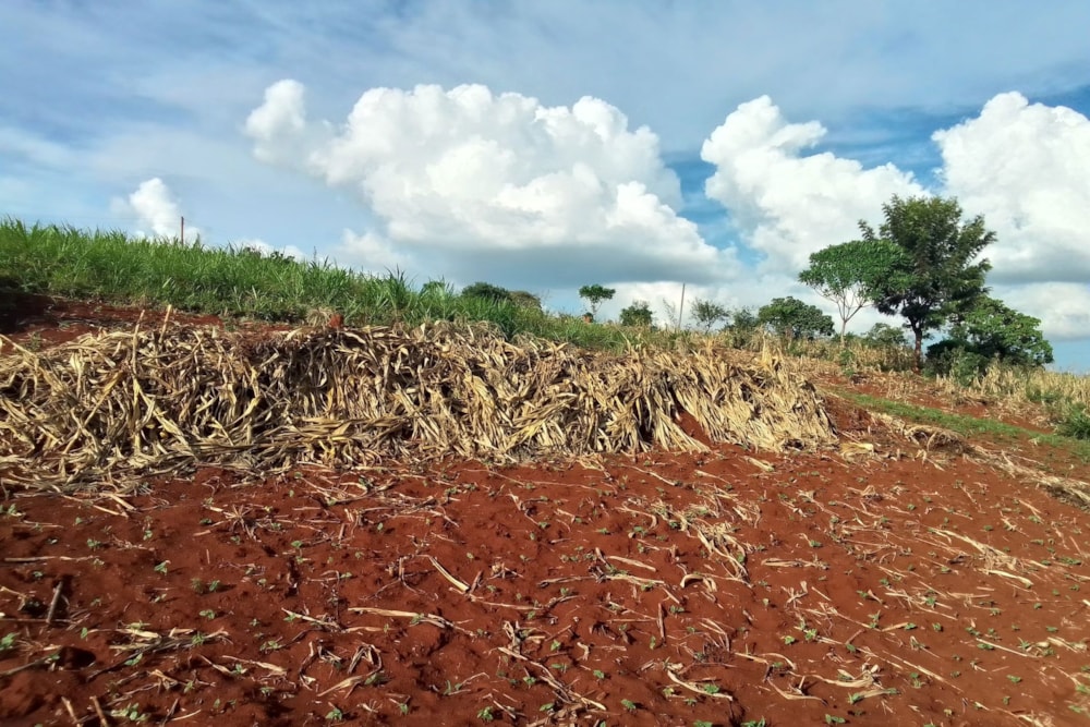 Vacant land sold in New Kitisuru, Kenya - 3KE1708694 Vacant land sold in New Kitisuru, Kenya - 3KE1708694