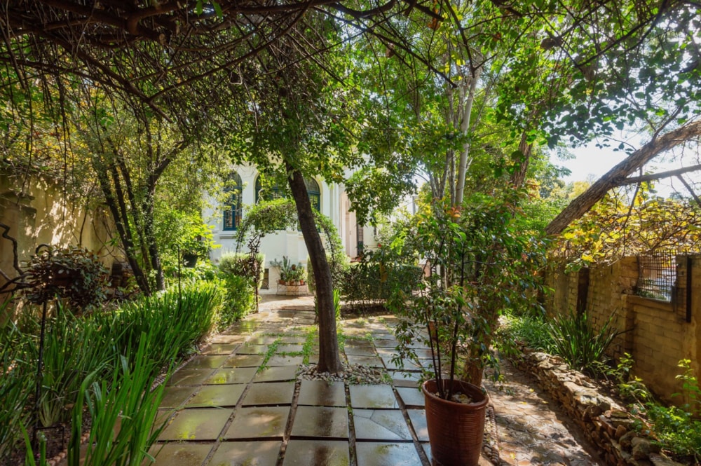 Multi-storey house for sale in Kensington, Bedfordview Area - BED1699886 Multi-storey house for sale in Kensington, Bedfordview Area - BED1699886