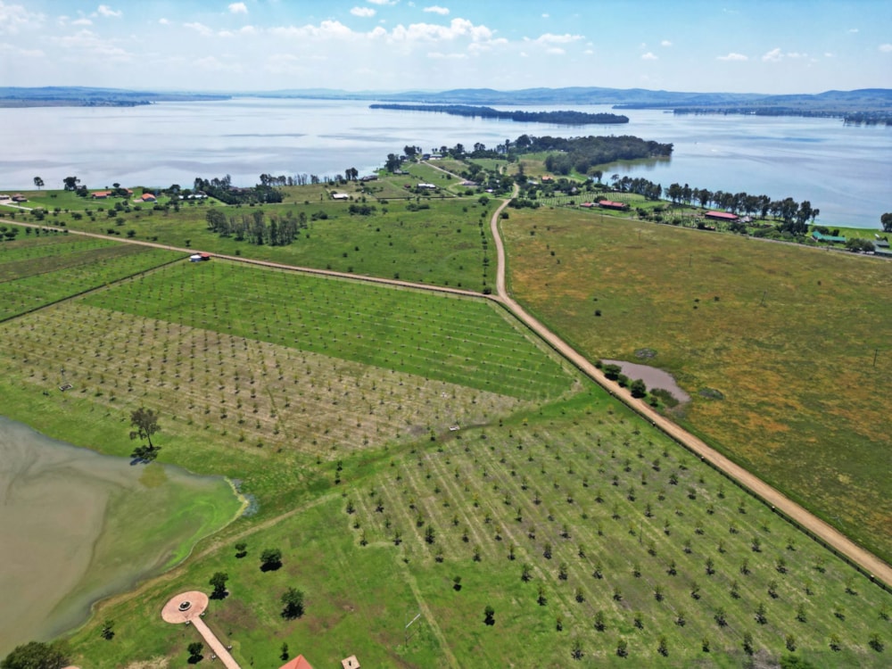 Nut farm for sale in Vaal Dam, Gauteng - 1VT1698556
