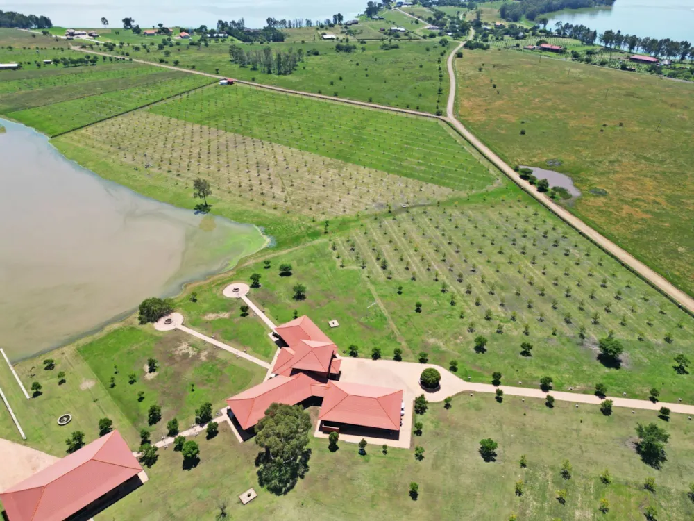 Nut farm for sale in Vaal Dam, Gauteng - 1VT1698556