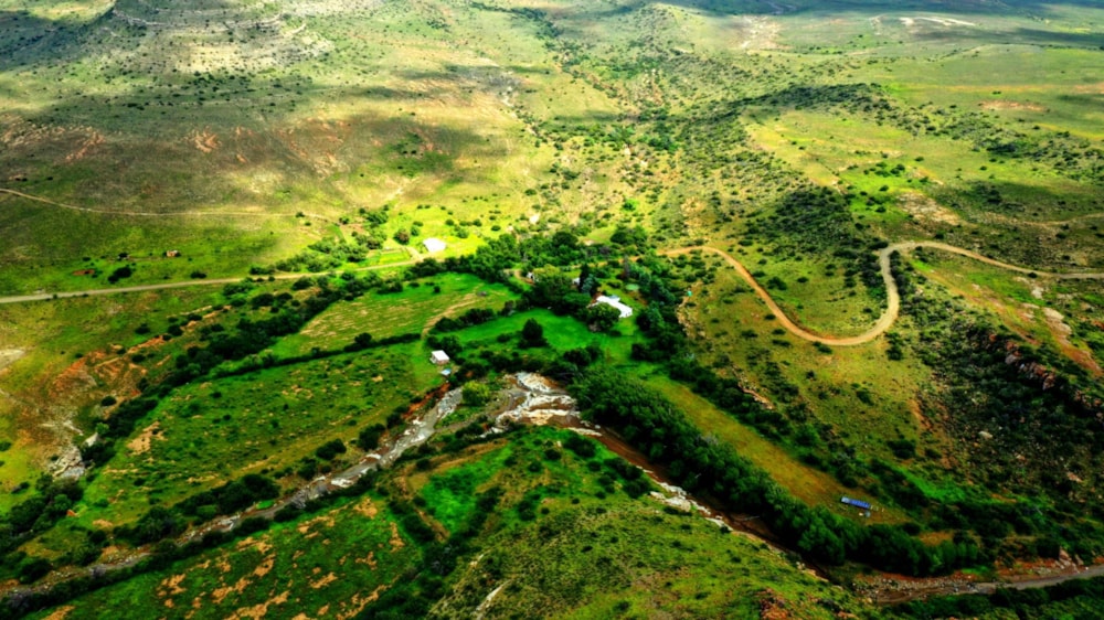 Livestock farm for sale in Middelburg - 1KK1695977