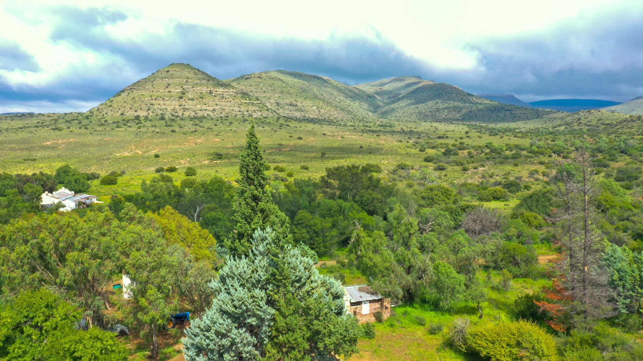 Livestock farm for sale in Middelburg - 1KK1695977