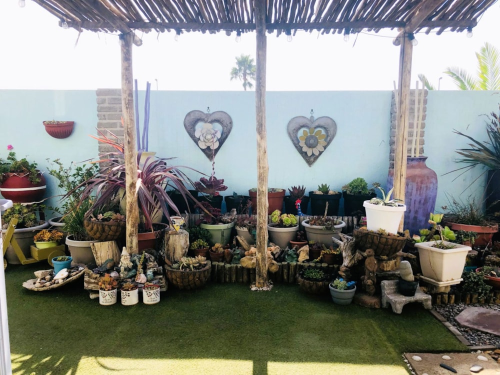 House let in Ocean View, Namibia - 3NM1696447 House let in Ocean View, Namibia - 3NM1696447