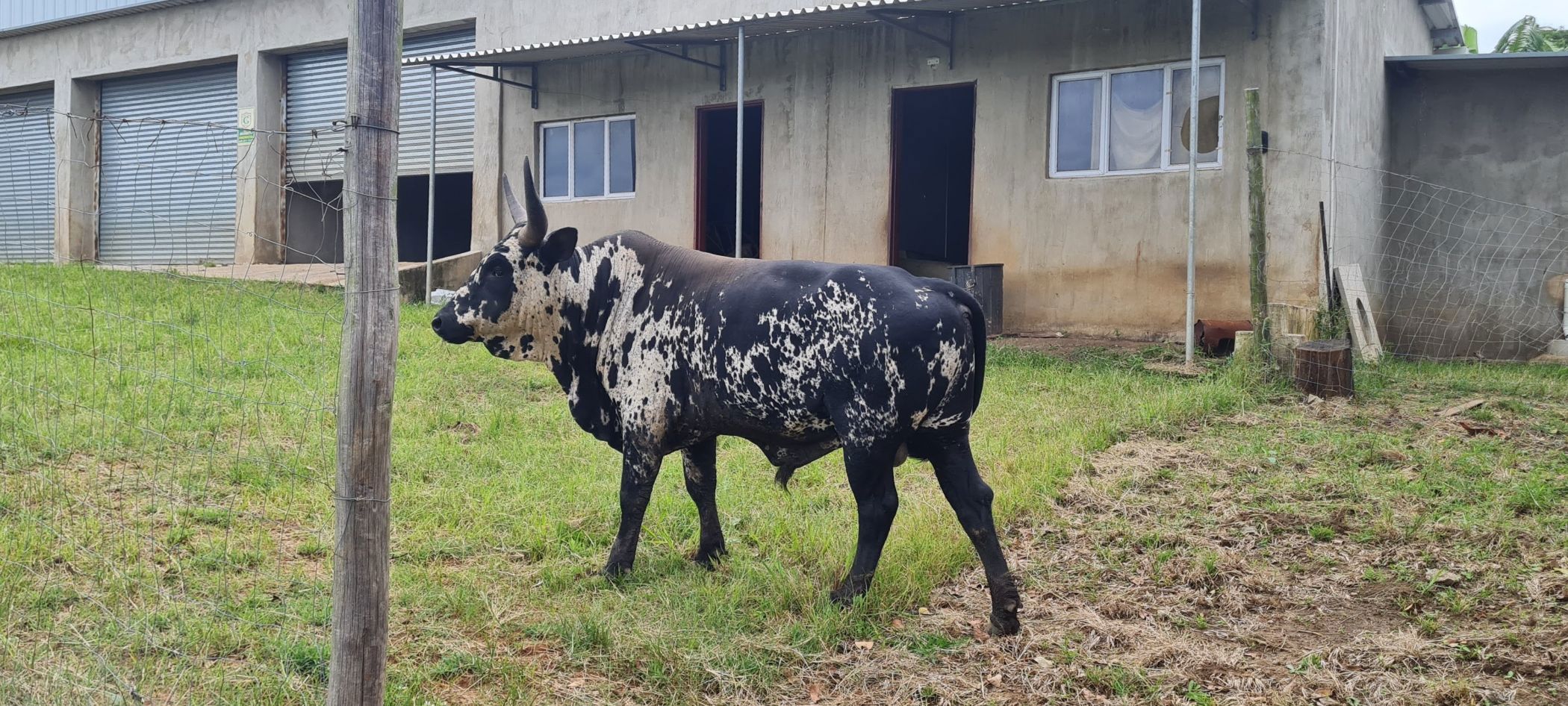Smallholding for sale in Banners Rest - 1PD1696366