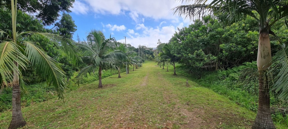 Smallholding for sale in Banners Rest - 1PD1696366