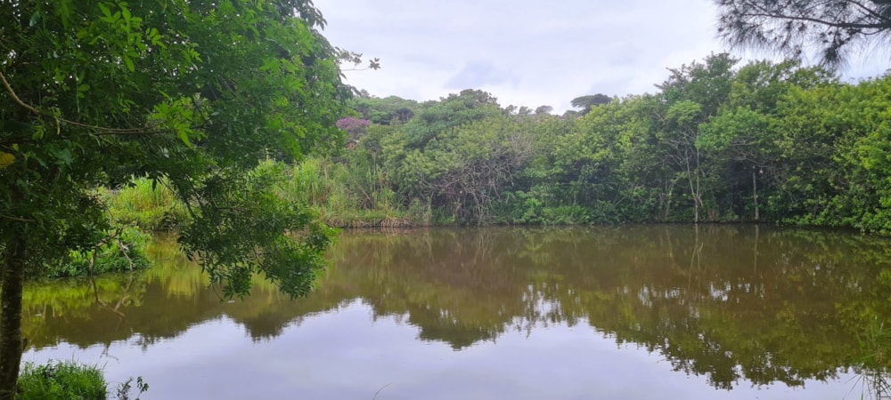 Smallholding for sale in Banners Rest - 1PD1696366