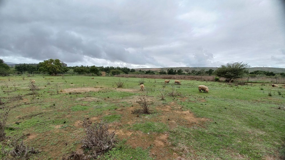 Commercial vacant land for sale in Heidelberg, Garden Route - 1SR1698523 Commercial vacant land for sale in Heidelberg, Garden Route - 1SR1698523
