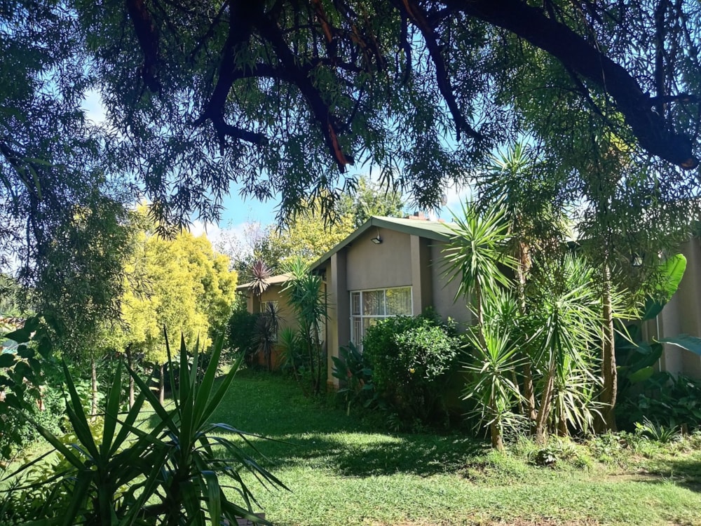 House for sale in Sunnyridge, Newcastle - 1NW1698135 House for sale in Sunnyridge, Newcastle - 1NW1698135