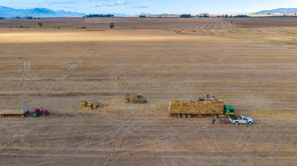 Crop farm for sale in Hermon - TK1696511 Crop farm for sale in Hermon - TK1696511