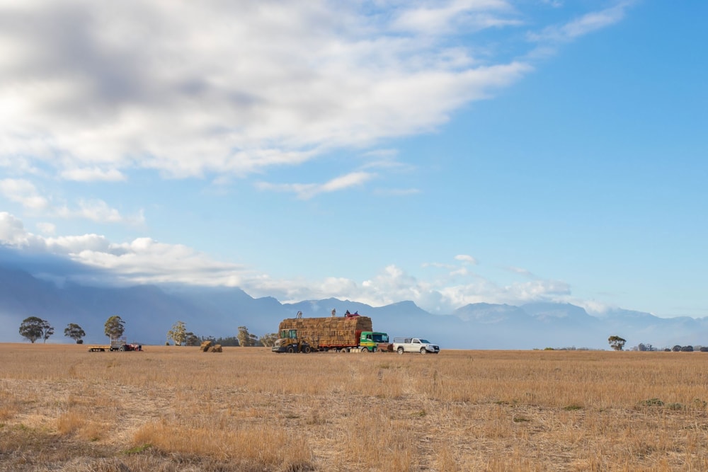 Crop farm for sale in Hermon - TK1696511 Crop farm for sale in Hermon - TK1696511