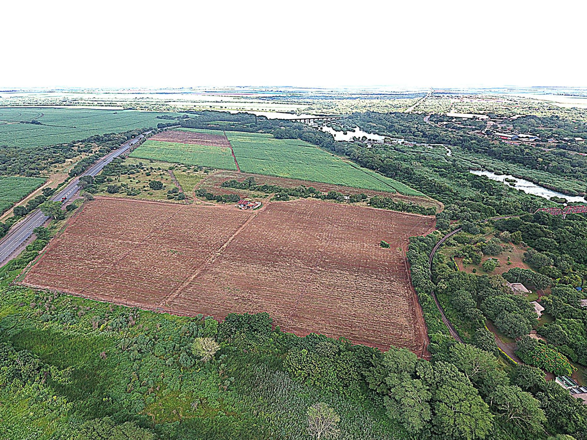 Crop farm for sale in Komatipoort - 1NK1696542