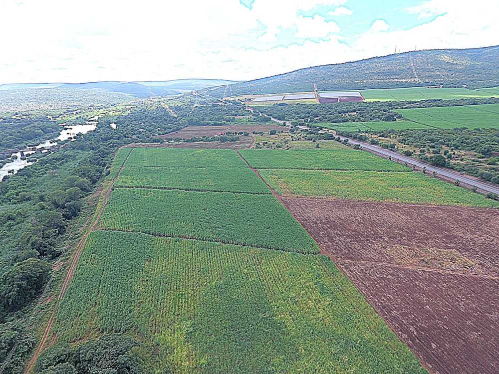 Crop farm for sale in Komatipoort - 1NK1696542