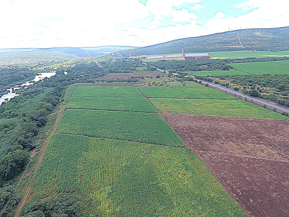 Crop farm for sale in Komatipoort - 1NK1696542 Crop farm for sale in Komatipoort - 1NK1696542