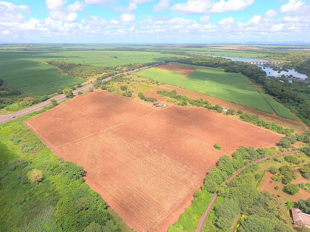 Crop farm for sale in Komatipoort - 1NK1696542