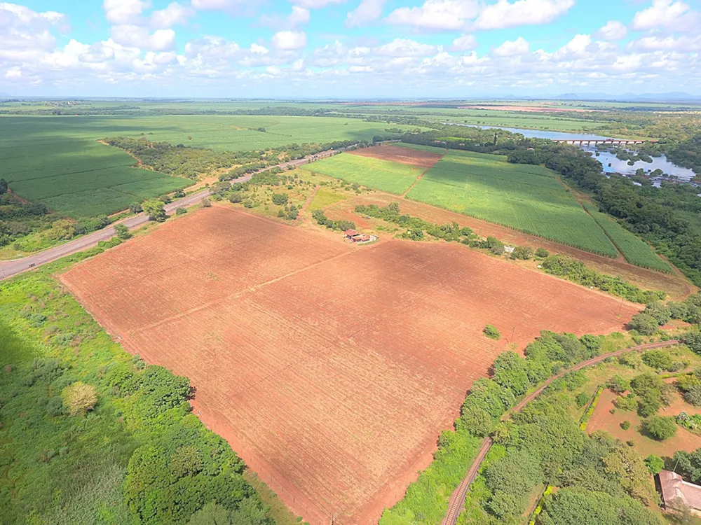Crop farm for sale in Komatipoort - 1NK1696542 Crop farm for sale in Komatipoort - 1NK1696542
