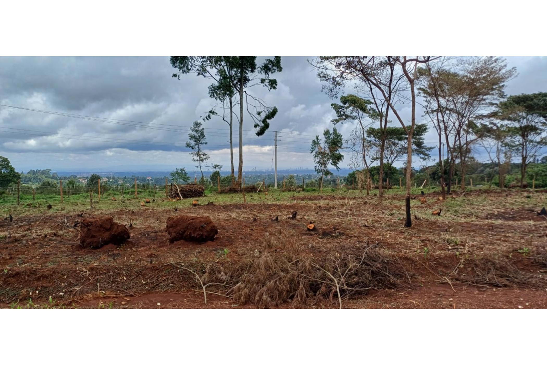 Residential vacant land for sale in Tigoni, Kenya - 3KE1696614