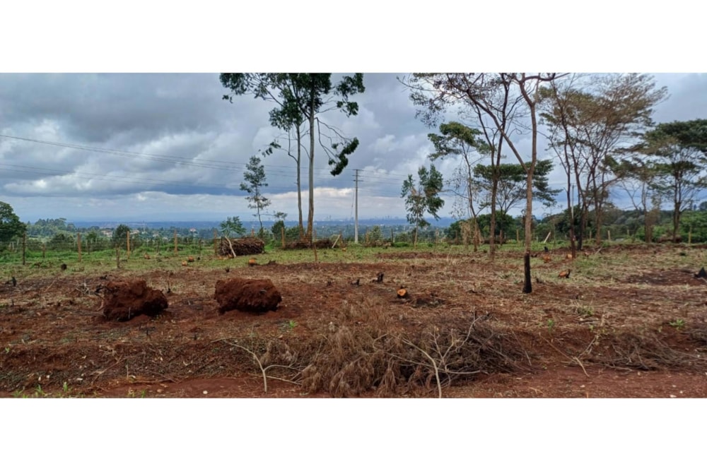 Residential vacant land for sale in Tigoni, Kenya - 3KE1696614 Residential vacant land for sale in Tigoni, Kenya - 3KE1696614