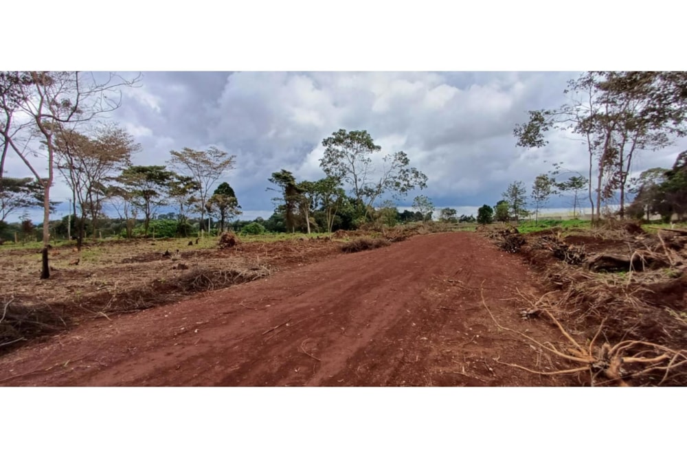 Residential vacant land for sale in Tigoni, Kenya - 3KE1696614 Residential vacant land for sale in Tigoni, Kenya - 3KE1696614