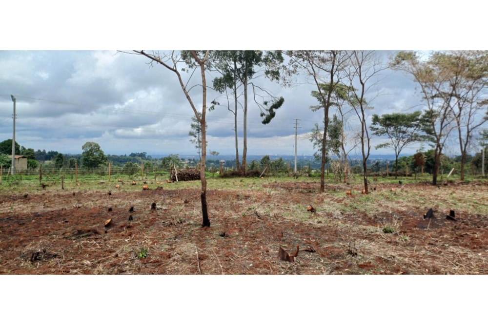 Residential vacant land for sale in Tigoni, Kenya - 3KE1696614 Residential vacant land for sale in Tigoni, Kenya - 3KE1696614