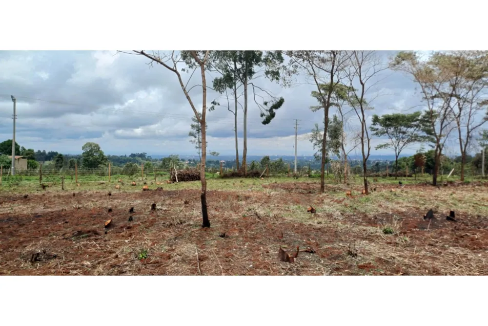 Residential vacant land sold in Tigoni, Kenya - 3KE1722215 Residential vacant land sold in Tigoni, Kenya - 3KE1722215