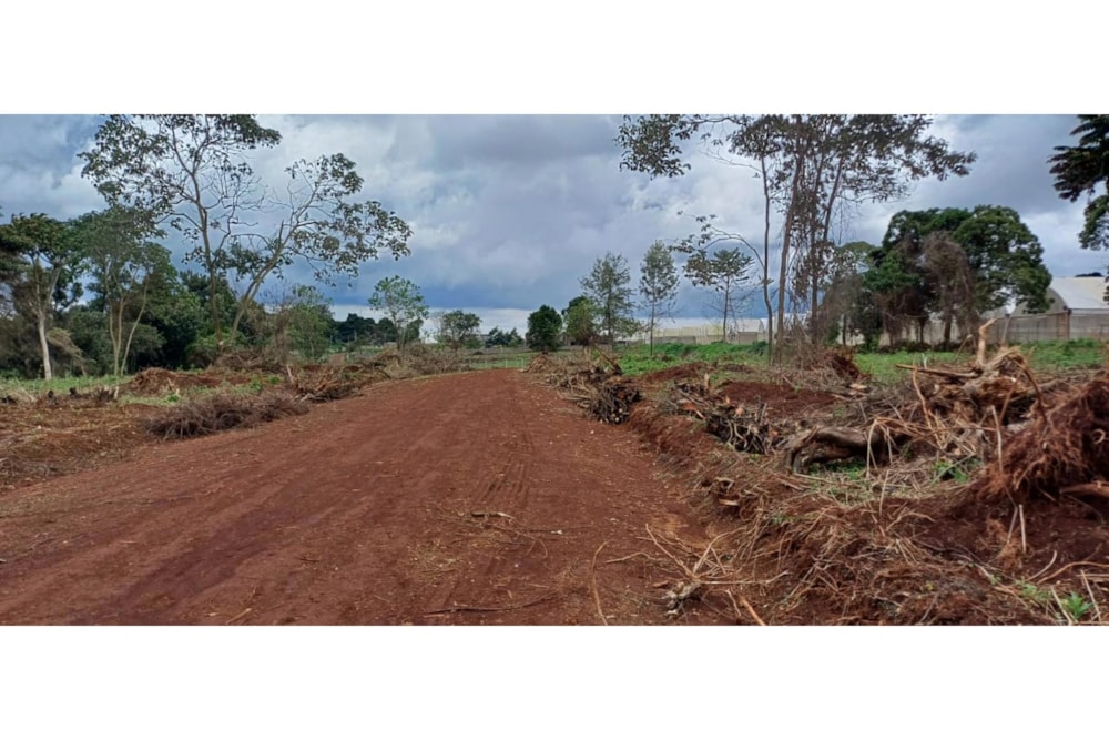 Residential vacant land for sale in Tigoni, Kenya - 3KE1696614 Residential vacant land for sale in Tigoni, Kenya - 3KE1696614